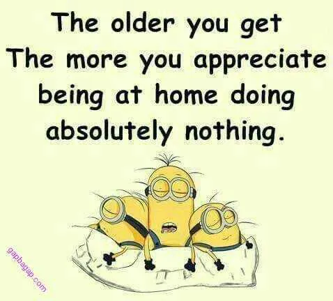 Hilarious Minions Quotes With Attitude Aging