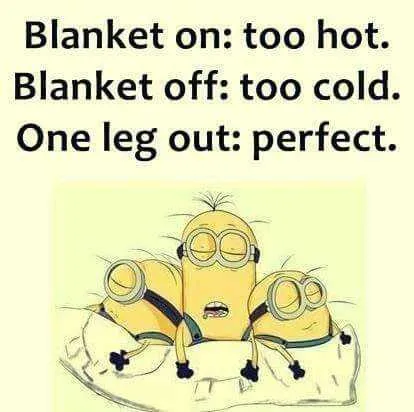 Hilarious Minion Quotes With Attitude Blanket Struggles