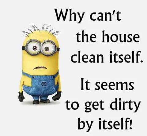 Hilarious Minion Quotes With Attitude Self Cleaning House