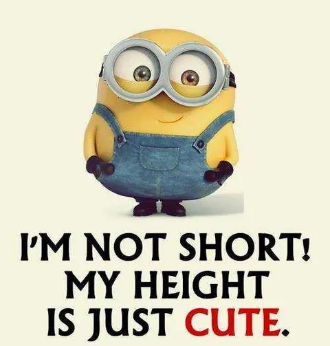 Hilarious Minion Quotes With Attitude Short
