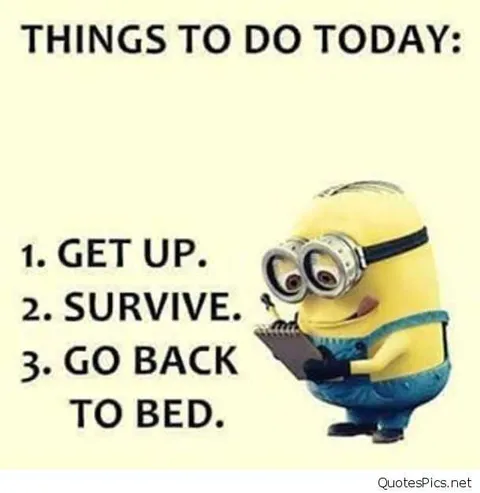 Hilarious Minion Quotes With Attitude To Do List