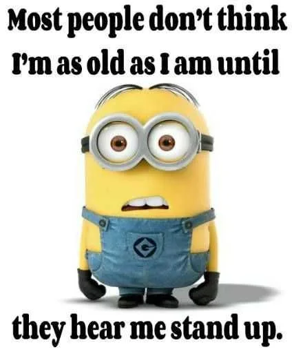 Hilarious Minion Quotes