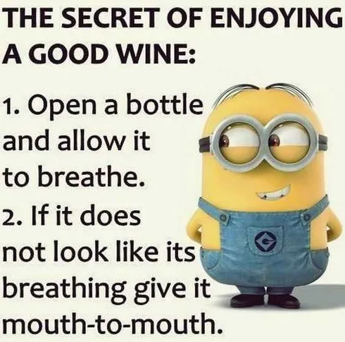 Funny Minion Quotes