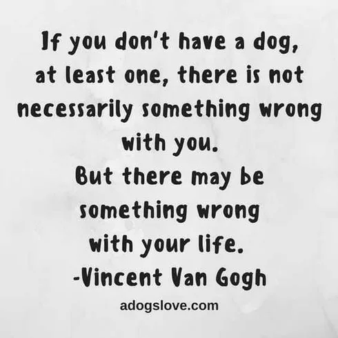 23 Amazing Animal Lover Quotes For Dog And Animal Lovers