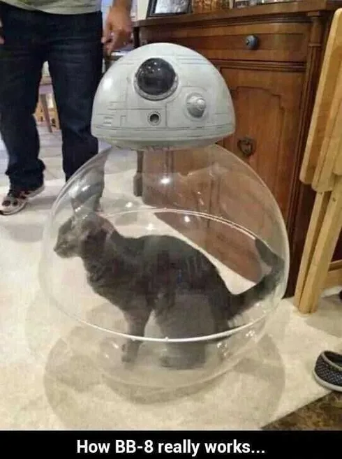 Star Wars Memes Cat Powered Bb8