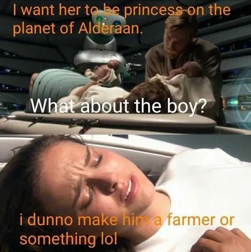Star Wars Memes Twins Dilemma