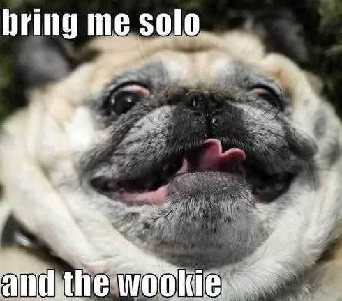 Funny Star Wars Memes Jabba The Pug