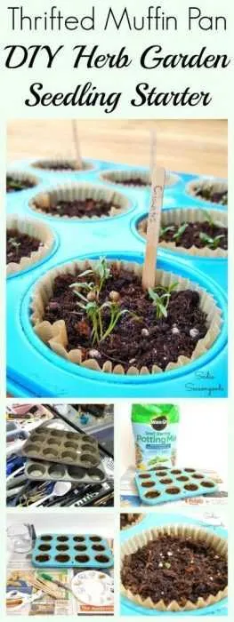 Charming Diy Spring Projects Herb Garden