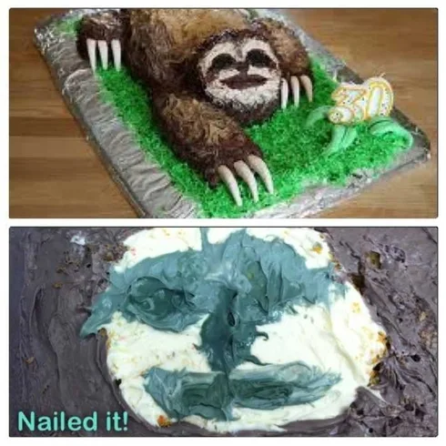 Funny Cake Fail Is That A Sloth