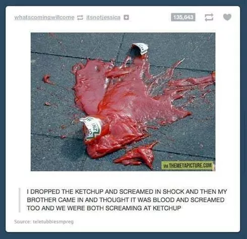 Funny Memes Pictures  Ketchup Scare