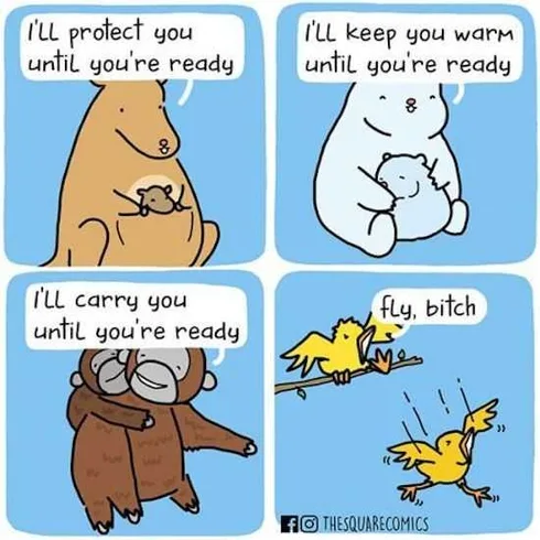Hilarious Funny Pictures Birds Are Cruel