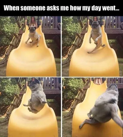 Hilarious Funny Pictures Started Off Good