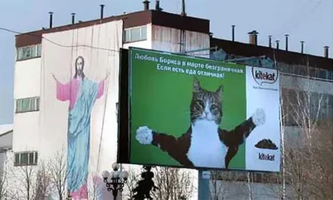 Funny Sign Placement Meme Holy Cat