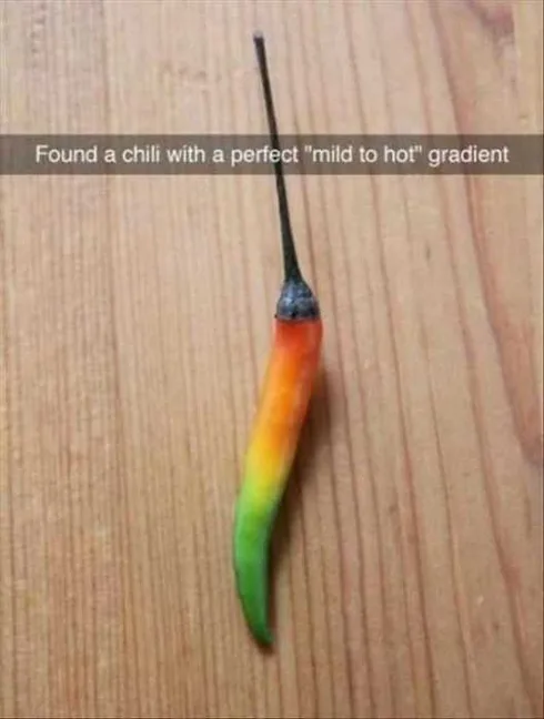 Hilarious Funny Pictures Winning Chili