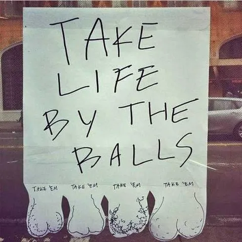 Hilarious Funny Pictures Grab Them