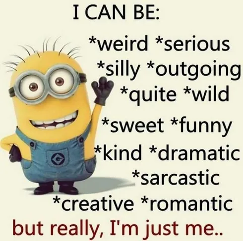 Super Funny Minion Quotes I Can Be