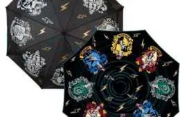 Accio Harry Potter 1