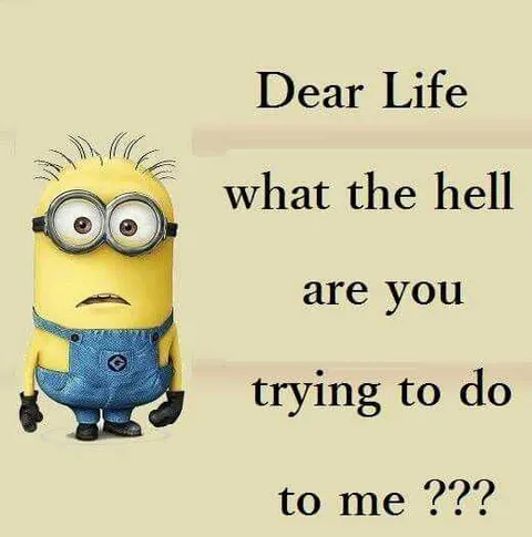 Funny Minion Pictures With Sayings Life
