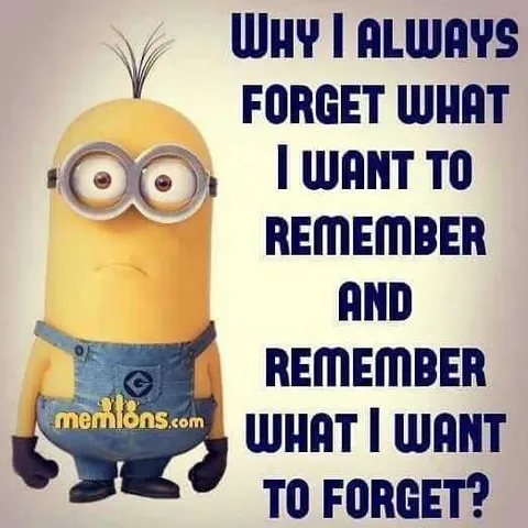Funny Minion Pictures With Sayings Memory