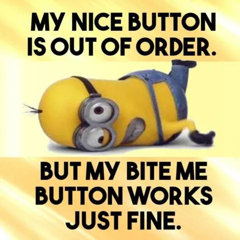 Funny Minion Images With Captions Nice Button