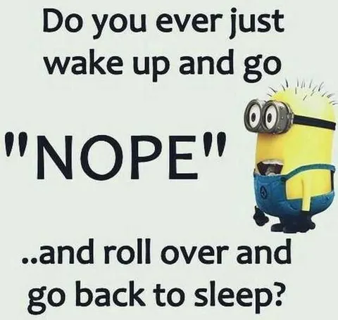 Funny Minion Pictures With Sayings Nope