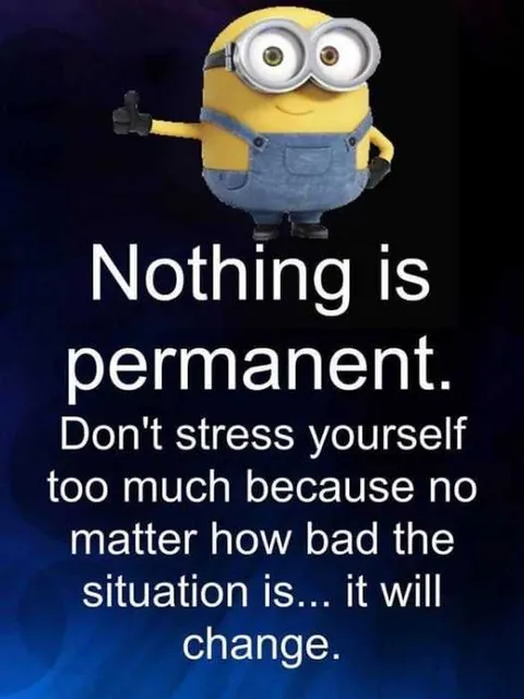 Funny Minion Pictures With Sayings Permanent