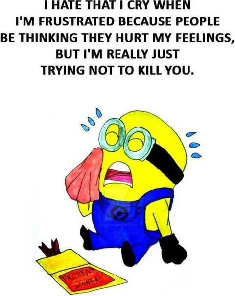 Funny Minion Images With Captions Frustration