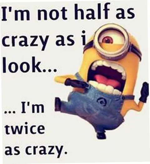Funny Minion Pictures With Sayings Crazy
