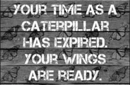 Quote Your Time Butterfly