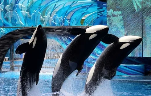 Seaworld