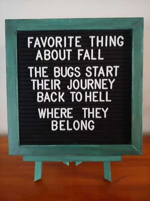 Funny Letter Board Quotes Fall Love