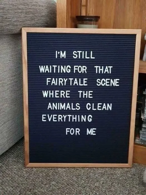 Hilarious Letter Board Quotes Disney Expectations