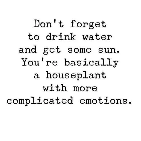 Quote37