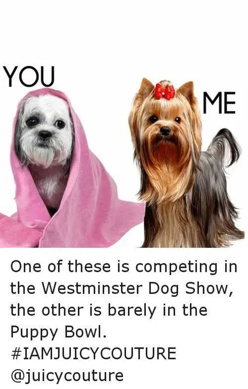 Dog5