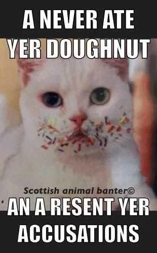 Funny Ate Your Donut