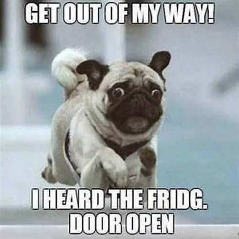 Funny Fridge Door