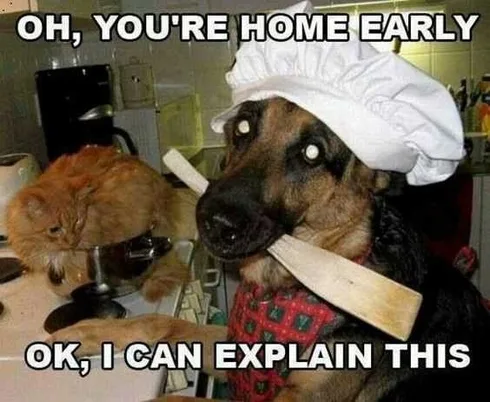 Funny Home Early
