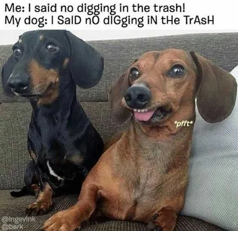 Funny No Digging