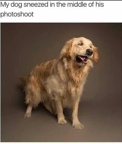 Funny Phootshoot