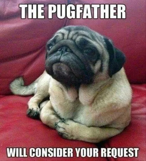 Funny Pugfather