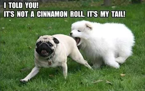 Funny Tail Dog