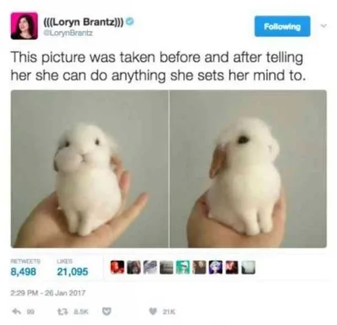 Funny Anything