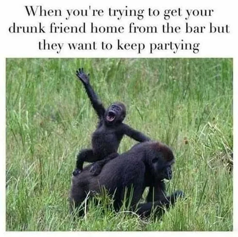 Funny Drunk Home
