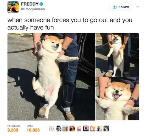 Funny Forces Fun