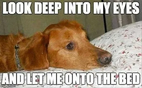 Funny Look Deep