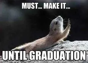 Funny Student Meme Featuring A Chipmunk Crawling Helplessly Captioned Must...make It... Until Graduation