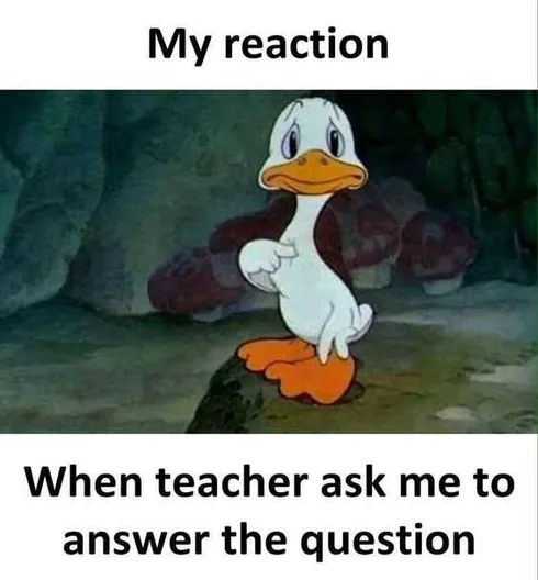 Meme Showing A Duck Looking Nervous Pointing At Himself Captioned My Reaction When Teacher Asks Me To Answer The Question