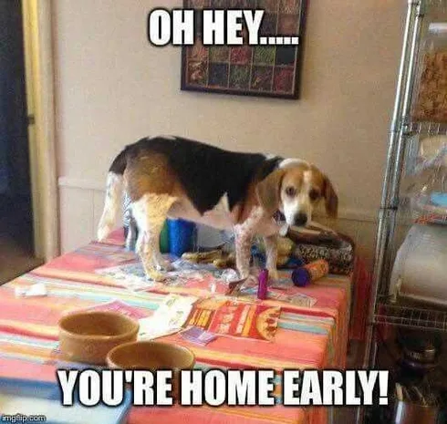 Funny Oh Hey Early