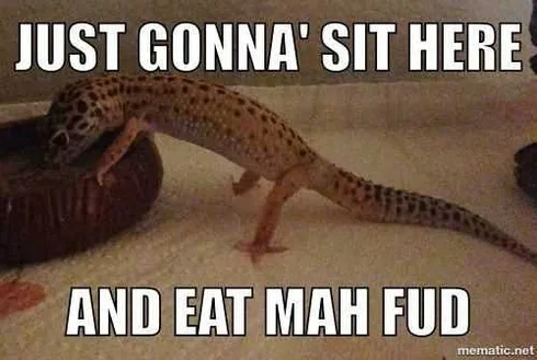 Funny Sit Here