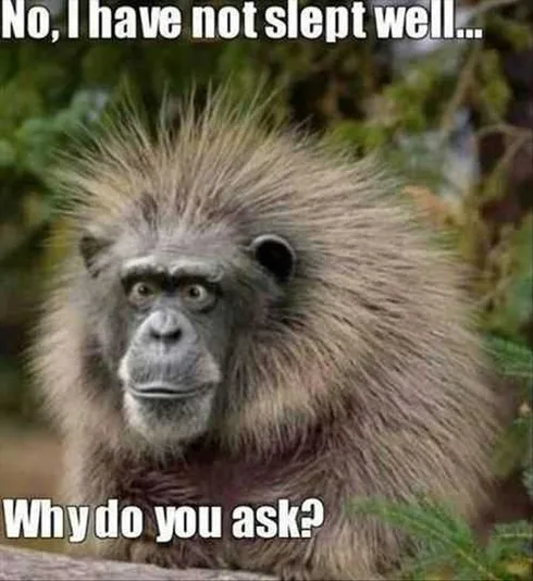 Funny Slept Well